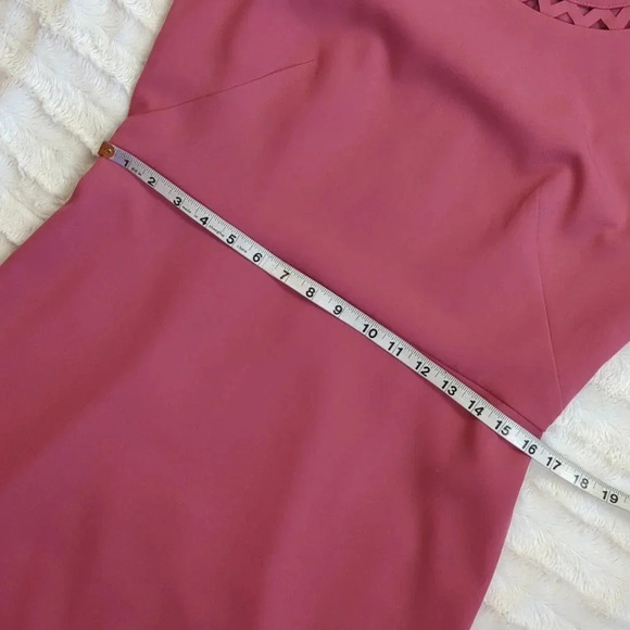 For Kitty Rescue! Loft Cutout Sheath Dress - Picture 10 of 13